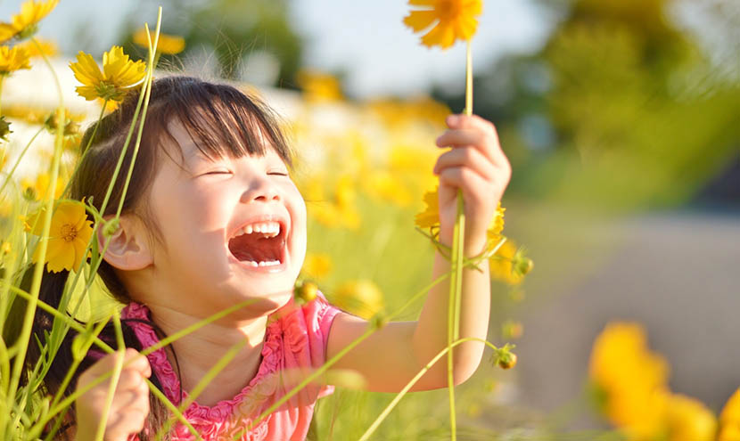 ニュースレター